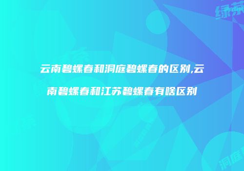 云南碧螺春和洞庭碧螺春的区别,云南碧螺春和江苏碧螺春有啥区别