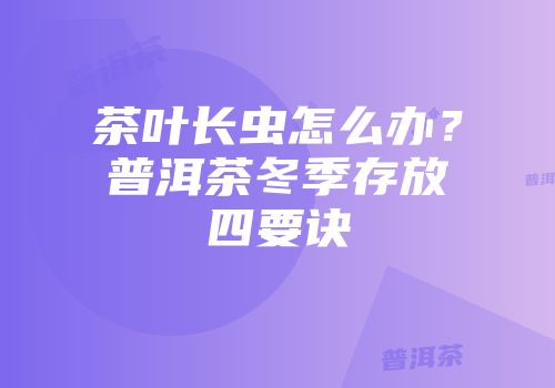 茶叶长虫怎么办？普洱茶冬季存放四要诀