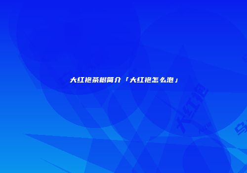 大红袍茶树简介「大红袍怎么泡」