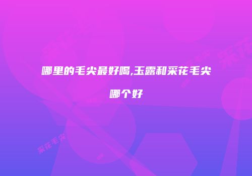 哪里的毛尖最好喝,玉露和采花毛尖哪个好
