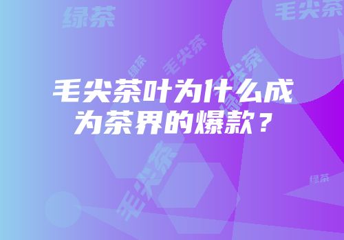 毛尖茶叶为什么成为茶界的爆款？