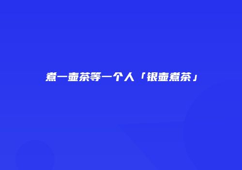 煮一壶茶等一个人「银壶煮茶」