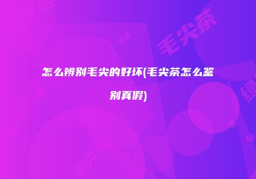 怎么辨别毛尖的好坏(毛尖茶怎么鉴别真假)