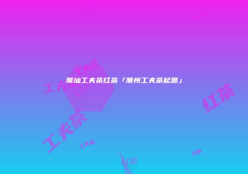潮汕工夫茶红茶「潮州工夫茶起源」