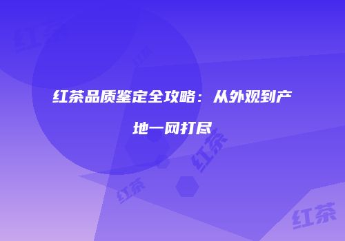 红茶品质鉴定全攻略：从外观到产地一网打尽