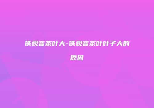铁观音茶叶大-铁观音茶叶叶子大的原因