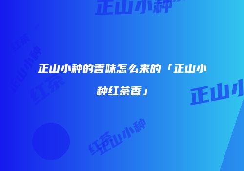 正山小种的香味怎么来的「正山小种红茶香」