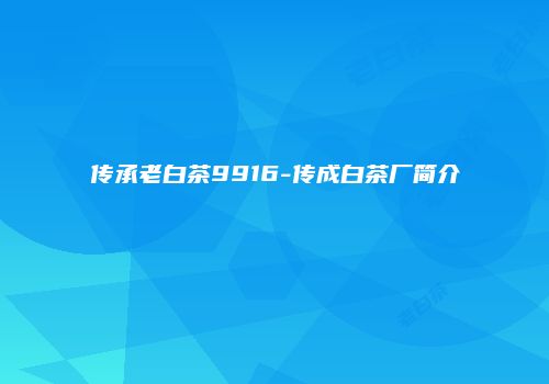传承老白茶9916-传成白茶厂简介
