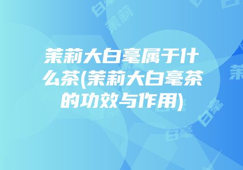 茉莉大白毫属于什么茶(茉莉大白毫茶的功效与作用)