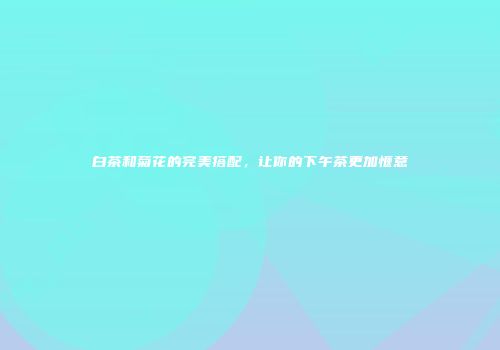 白茶和菊花的完美搭配，让你的下午茶更加惬意