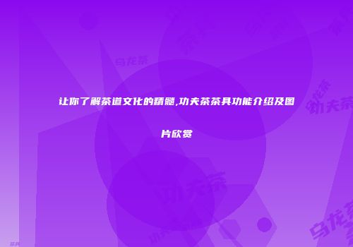 让你了解茶道文化的精髓,功夫茶茶具功能介绍及图片欣赏