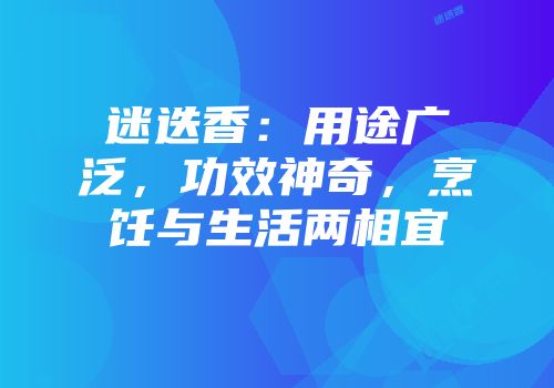 迷迭香：用途广泛，功效神奇，烹饪与生活两相宜