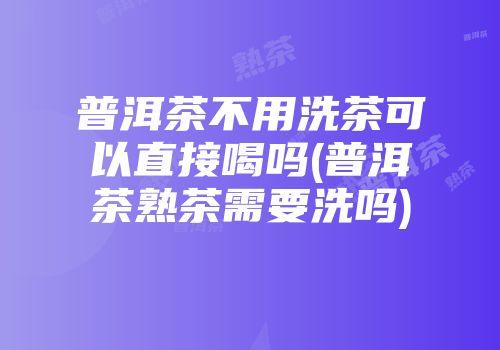普洱茶不用洗茶可以直接喝吗(普洱茶熟茶需要洗吗)