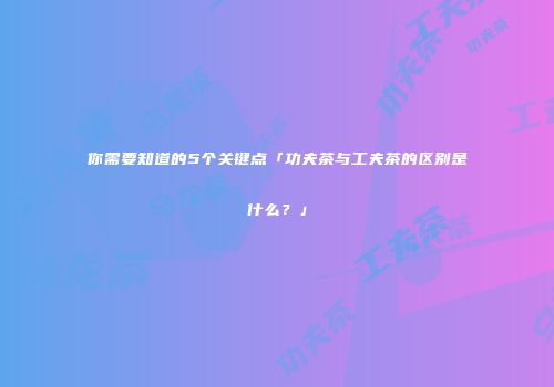 你需要知道的5个关键点「功夫茶与工夫茶的区别是什么？」