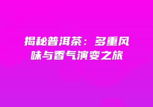 揭秘普洱茶：多重风味与香气演变之旅