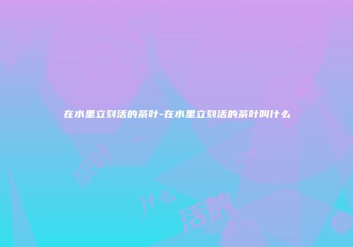 在水里立刻活的茶叶-在水里立刻活的茶叶叫什么