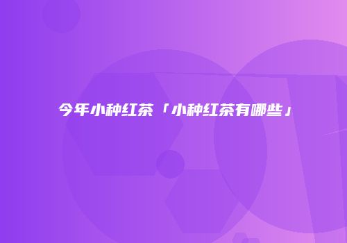 今年小种红茶「小种红茶有哪些」