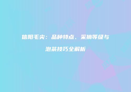 信阳毛尖：品种特点、采摘等级与泡茶技巧全解析