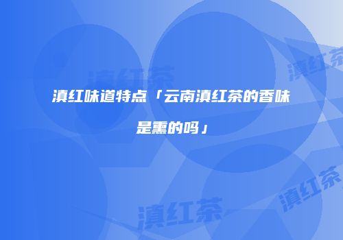 滇红味道特点「云南滇红茶的香味是熏的吗」