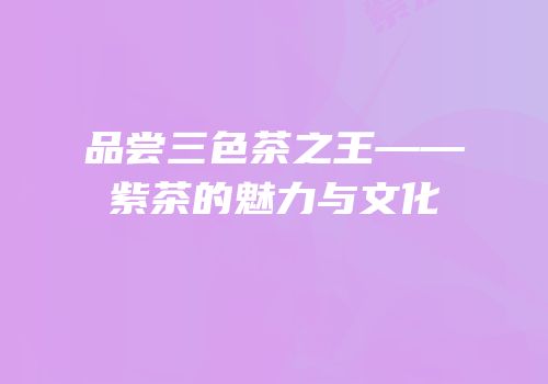 品尝三色茶之王——紫茶的魅力与文化