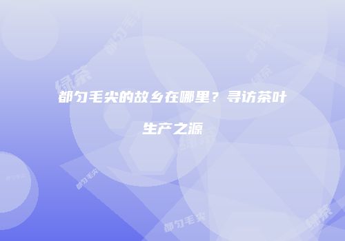 都匀毛尖的故乡在哪里？寻访茶叶生产之源