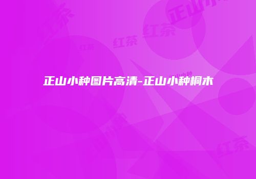 正山小种图片高清-正山小种桐木