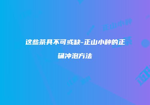 这些茶具不可或缺-正山小种的正确冲泡方法