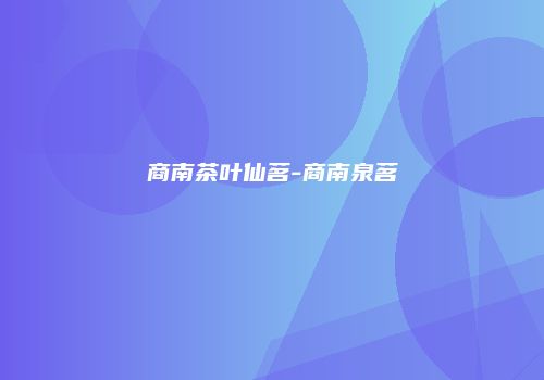 商南茶叶仙茗-商南泉茗