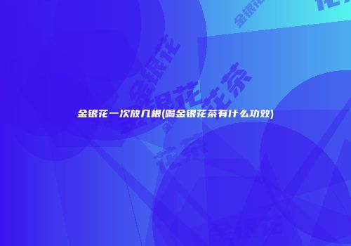 金银花一次放几根(喝金银花茶有什么功效)