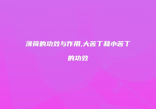 薄荷的功效与作用,大苦丁和小苦丁的功效
