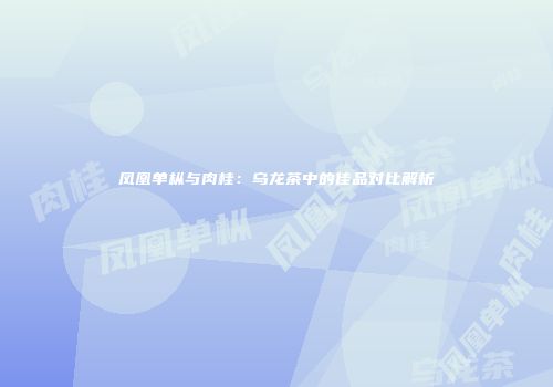 凤凰单枞与肉桂：乌龙茶中的佳品对比解析