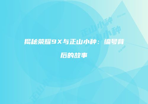 揭秘荣耀9X与正山小种：编号背后的故事