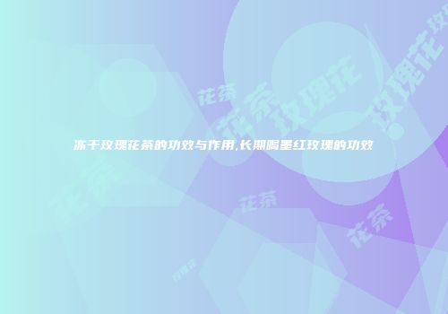 冻干玫瑰花茶的功效与作用,长期喝墨红玫瑰的功效