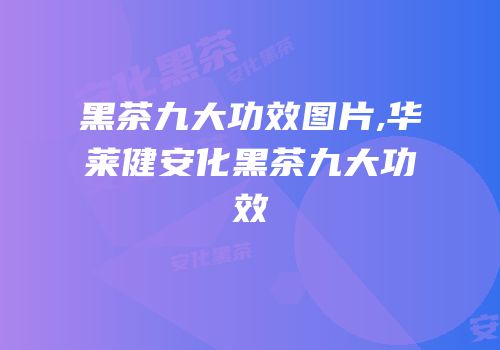 黑茶九大功效图片,华莱健安化黑茶九大功效