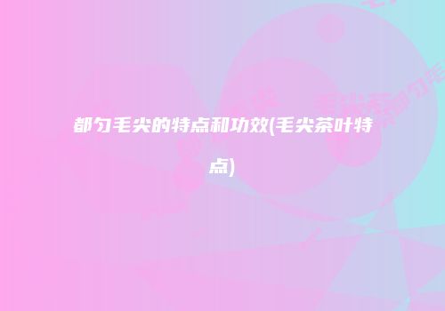 都匀毛尖的特点和功效(毛尖茶叶特点)