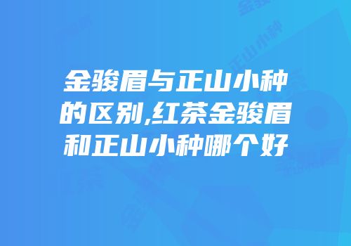 金骏眉与正山小种的区别,红茶金骏眉和正山小种哪个好