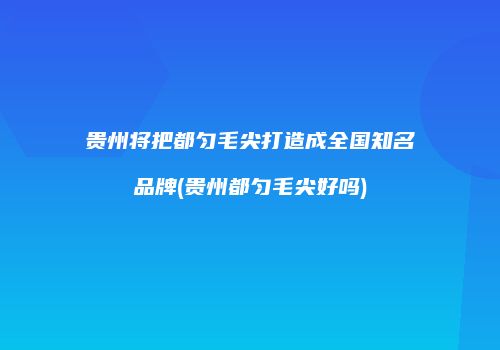 贵州将把都匀毛尖打造成全国知名品牌(贵州都匀毛尖好吗)