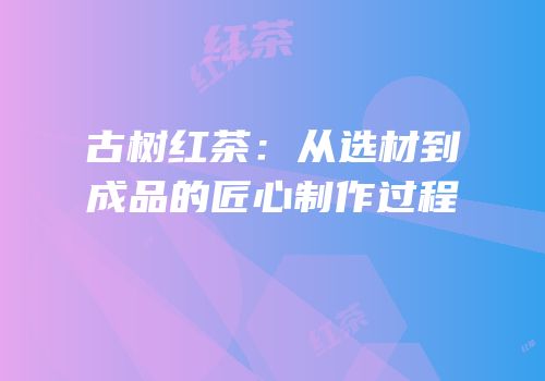 古树红茶：从选材到成品的匠心制作过程