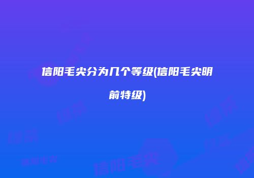 信阳毛尖分为几个等级(信阳毛尖明前特级)