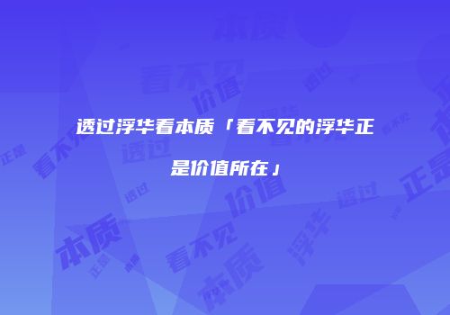 透过浮华看本质「看不见的浮华正是价值所在」
