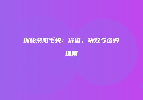 探秘紫阳毛尖：价值、功效与选购指南