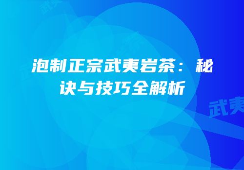 泡制正宗武夷岩茶：秘诀与技巧全解析