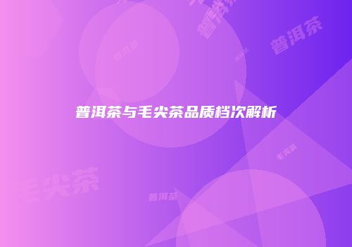 普洱茶与毛尖茶品质档次解析