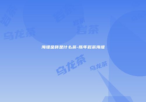 海堤金砖是什么茶-陈年岩茶海堤