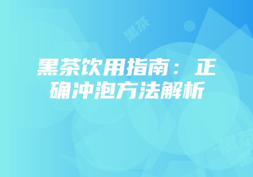 黑茶饮用指南：正确冲泡方法解析