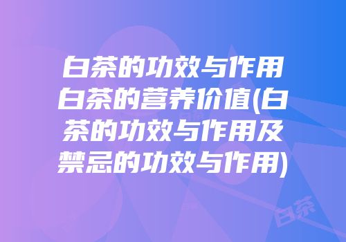 白茶的功效与作用白茶的营养价值(白茶的功效与作用及禁忌的功效与作用)