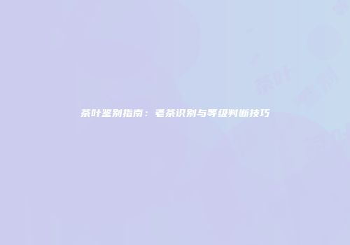 茶叶鉴别指南：老茶识别与等级判断技巧