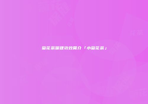 菊花茶保健功效简介「小菊花茶」