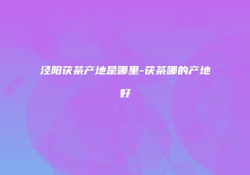 泾阳茯茶产地是哪里-茯茶哪的产地好