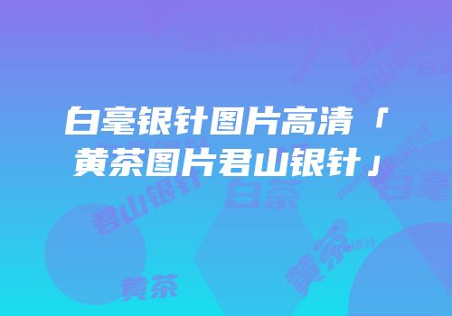 白毫银针图片高清「黄茶图片君山银针」